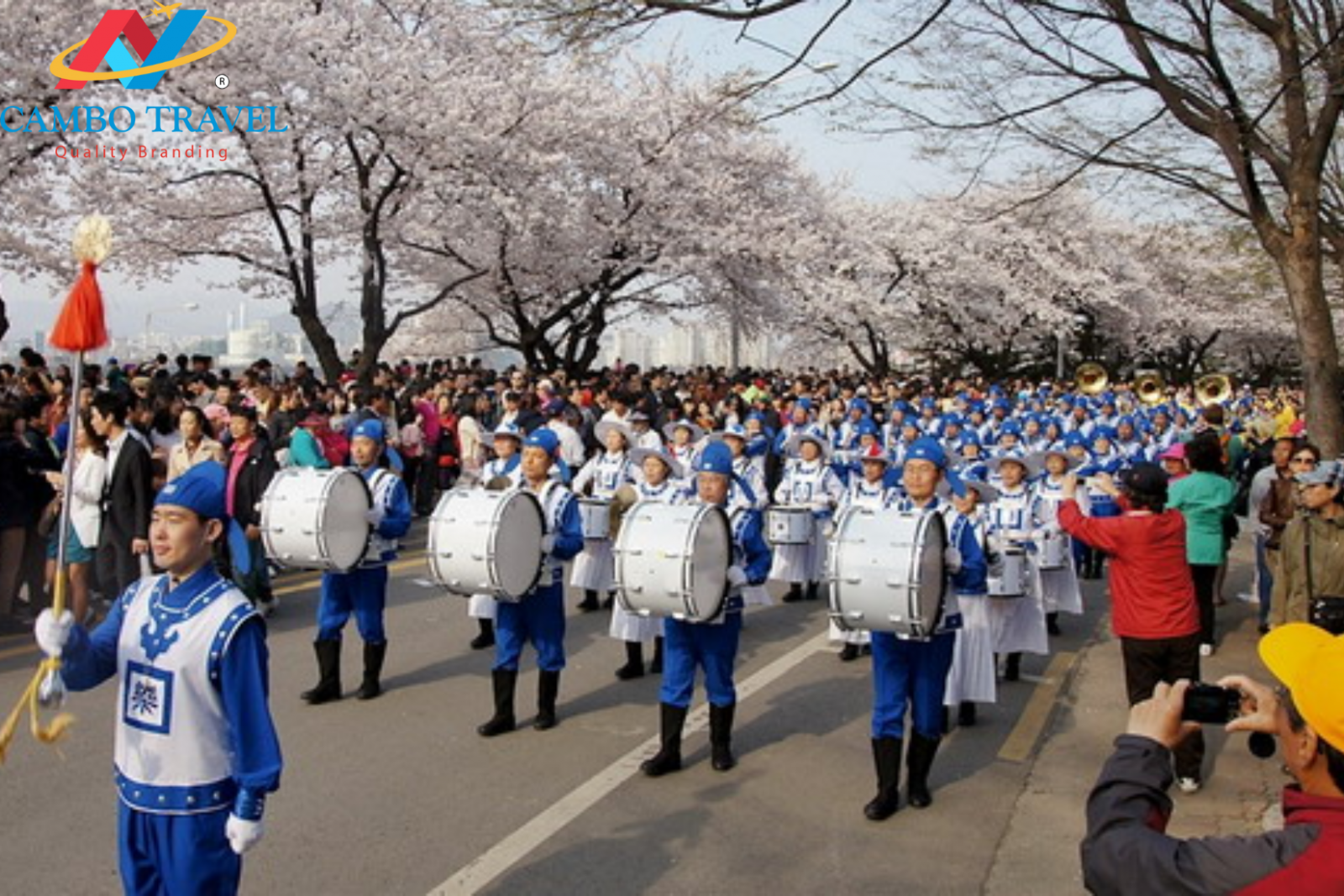 Lễ hội hoa anh đào Hàn Quốc